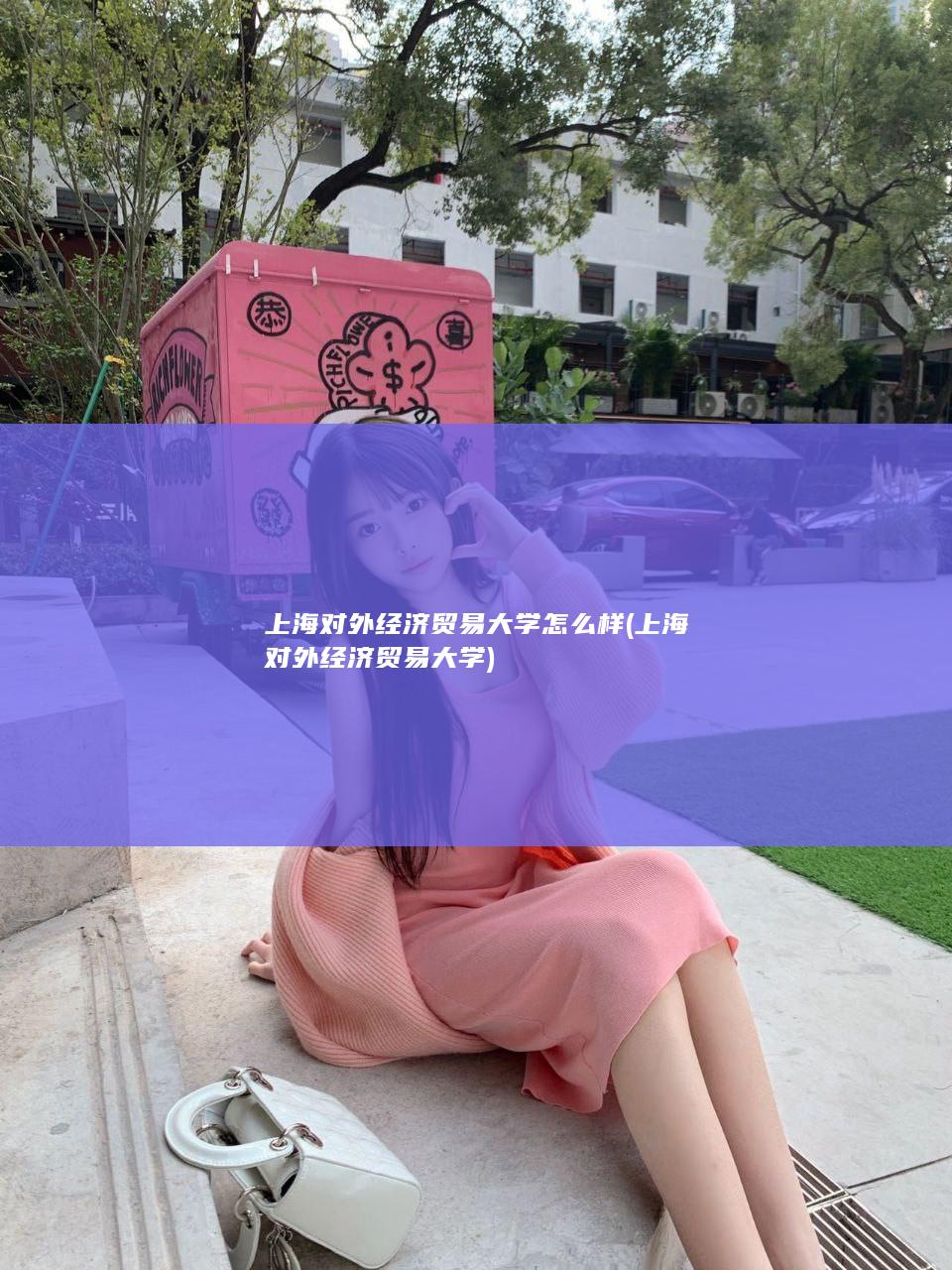 上海对外经济贸易大学怎么样 (上海对外经济贸易大学)